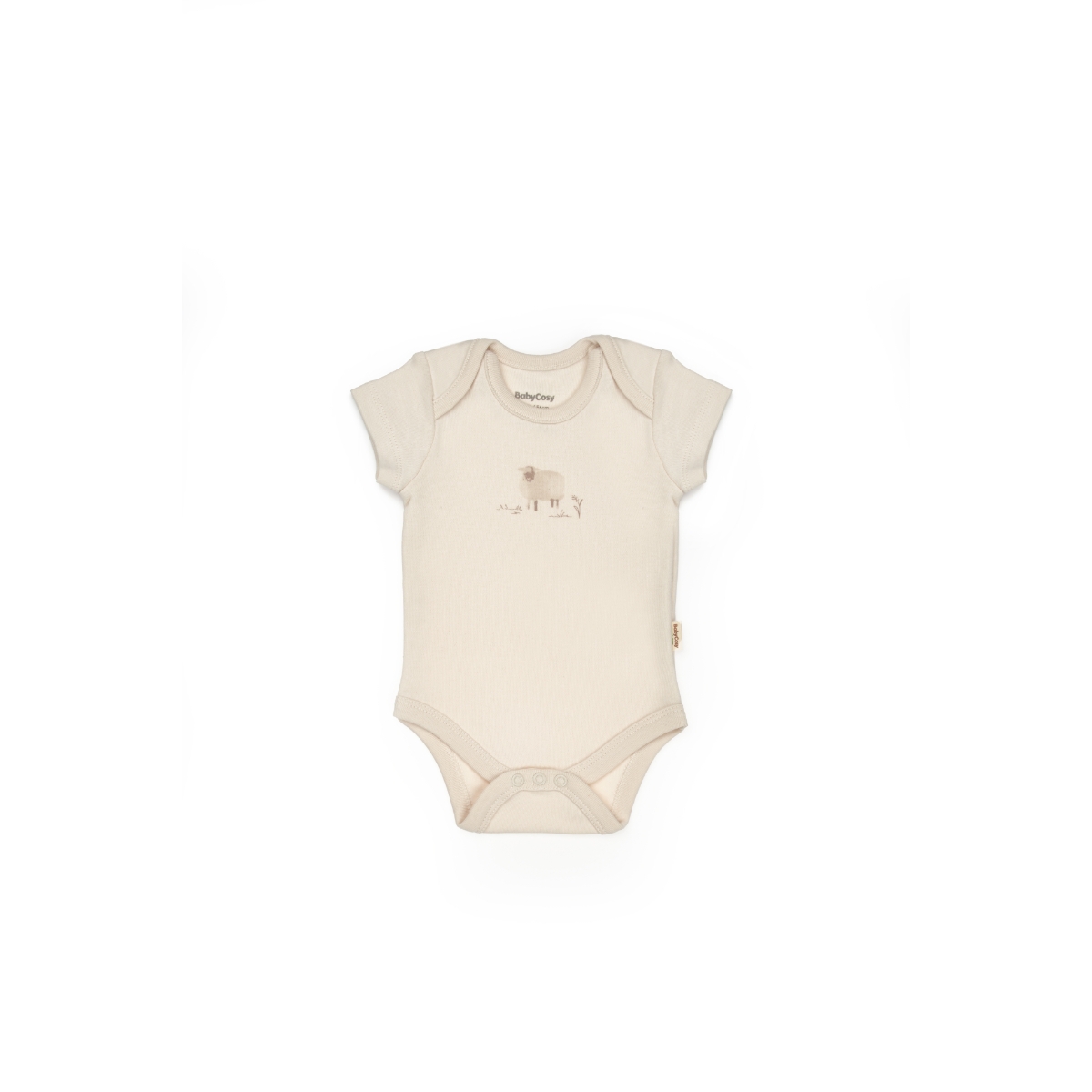BABYCOSY ORGANIC UNISEX 0-3 AY LAMB 10LU SET
