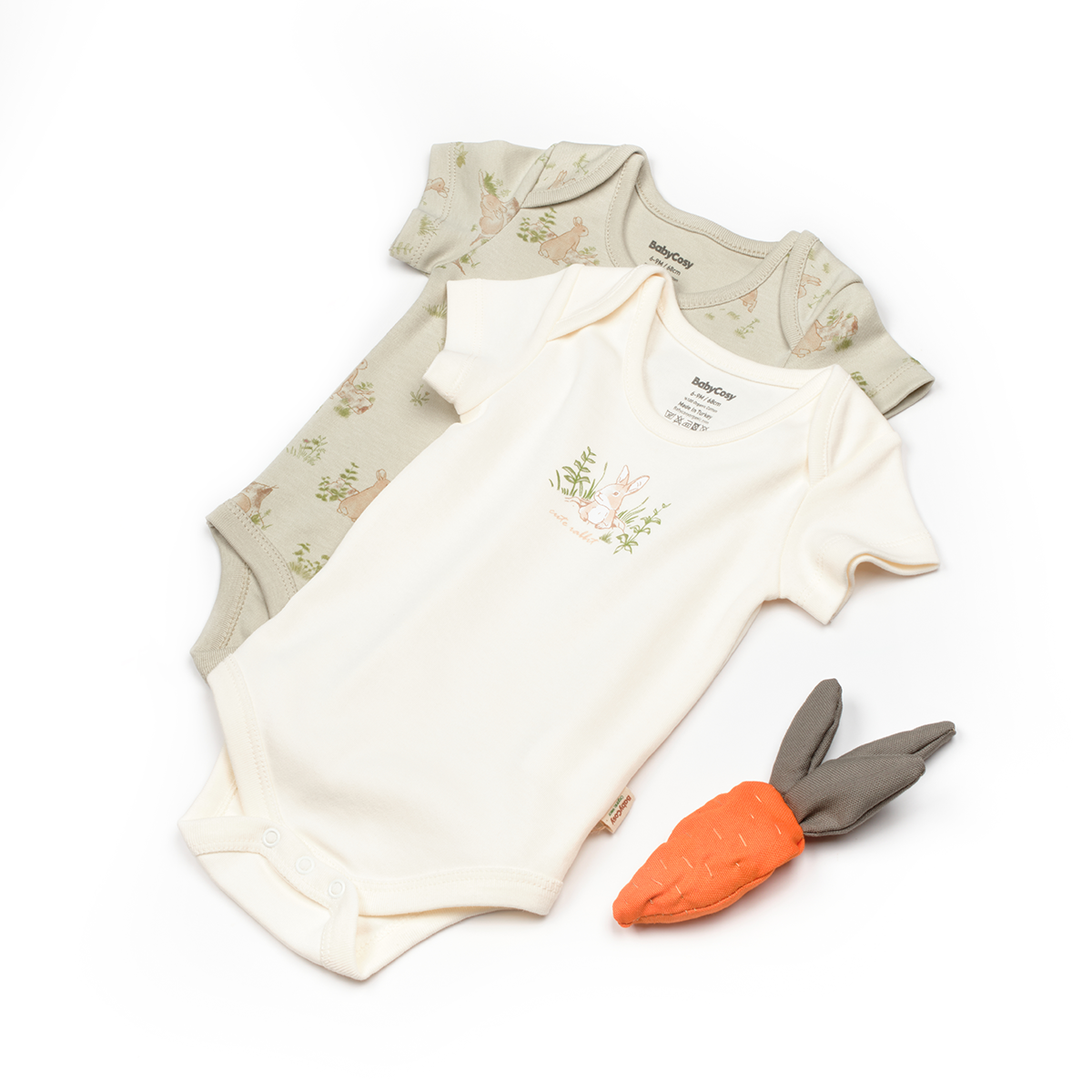 BABYCOSY UNISEX 3-6-9-12-18-24 AY KISAKOL 2Lİ BODY