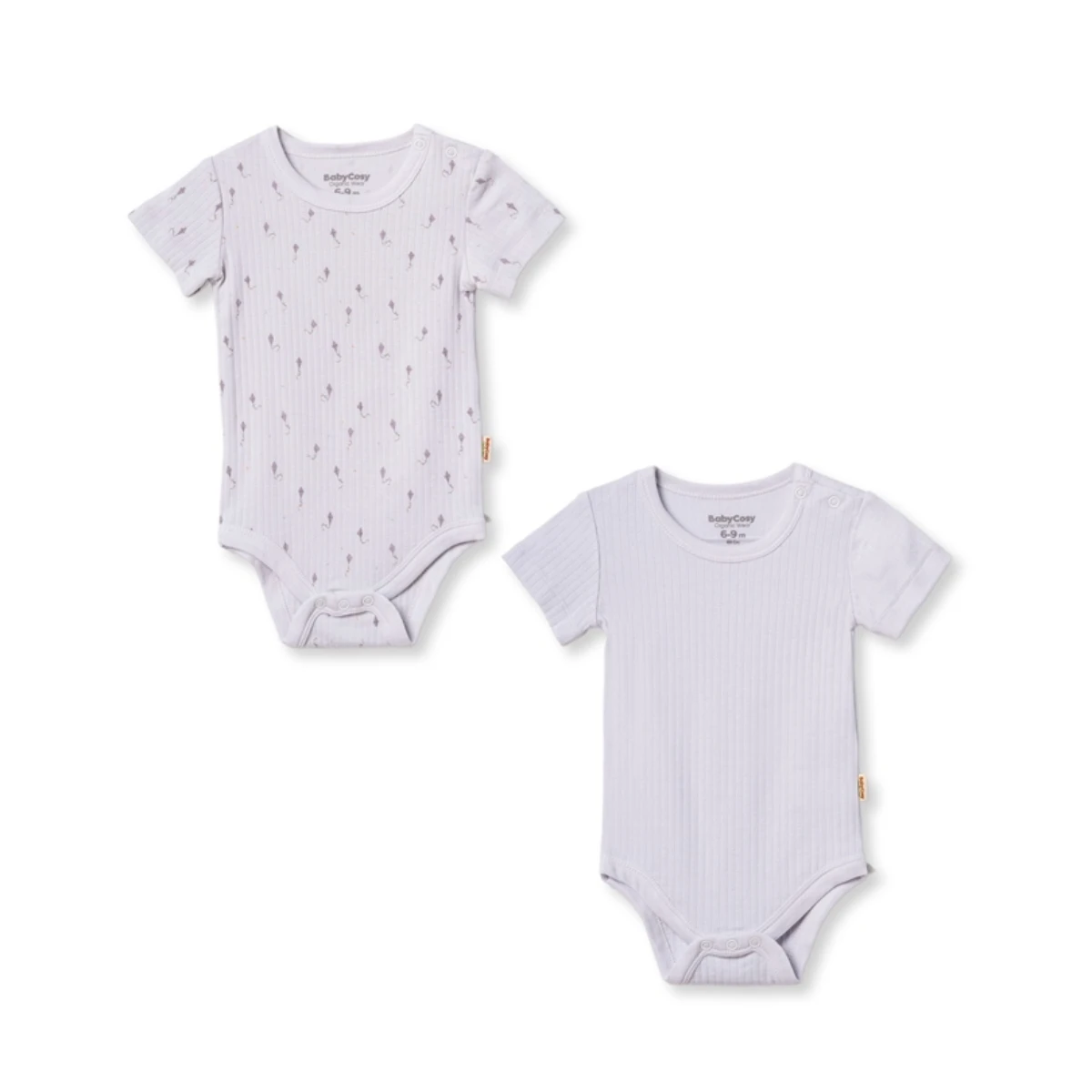 BABYCOSY ORGANIC ERKEK 0-24 AY KISAKOL 2Lİ BODY