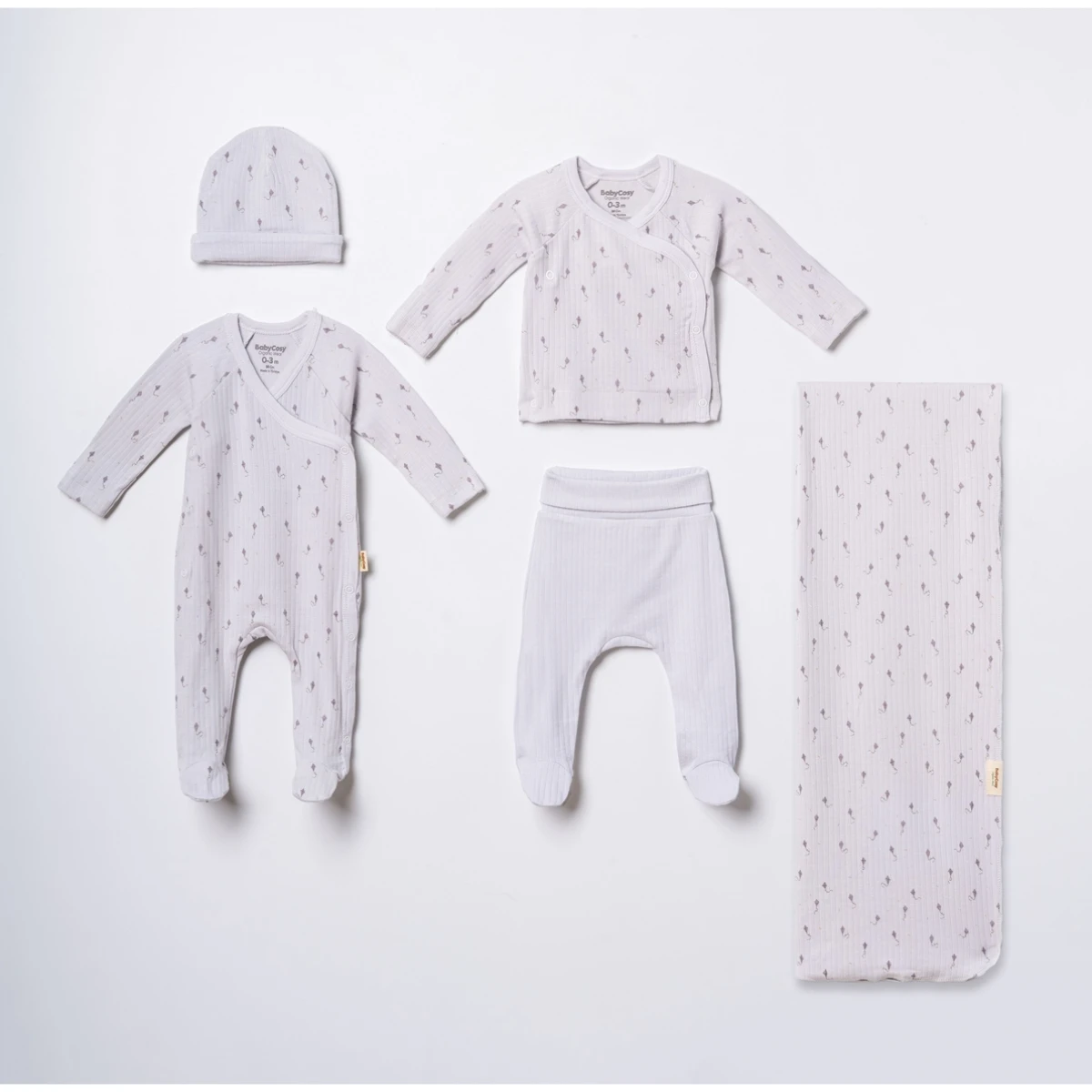 BABYCOSY ORGANIC ERKEK 0-3 AY 5Lİ SET
